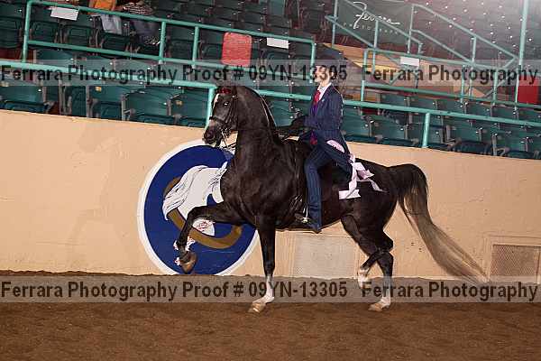 Proof 09yn-13305