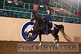09yn-13305 proof