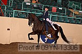 09yn-13306 proof
