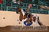 09yn-13307 proof