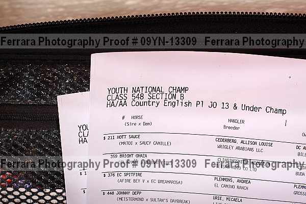 Proof 09yn-13309