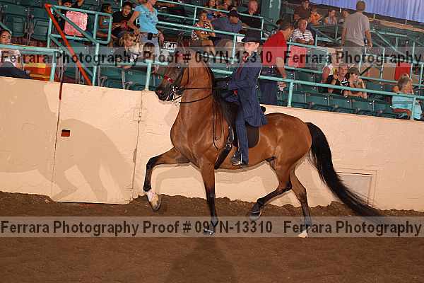 Proof 09yn-13310