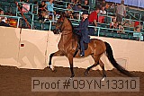 09yn-13310 proof
