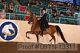 09yn-13311 proof