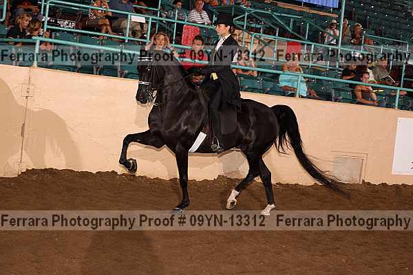 Proof 09yn-13312