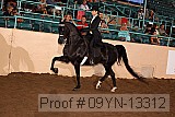 09yn-13312 proof