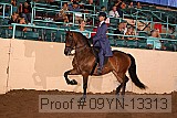 09yn-13313 proof