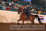 09yn-13314 proof