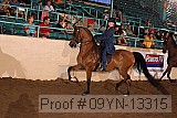 09yn-13315 proof