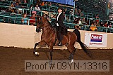 09yn-13316 proof