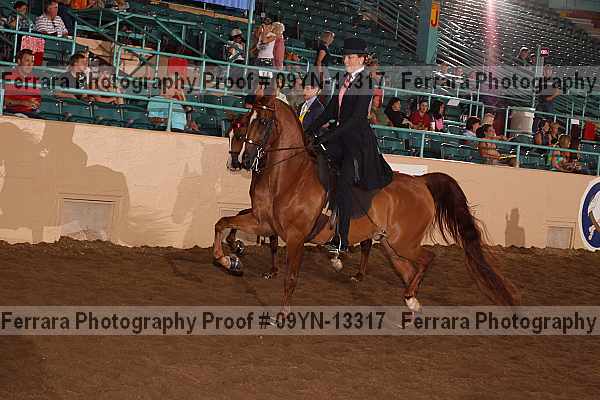 Proof 09yn-13317