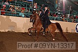09yn-13317 proof
