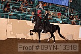 09yn-13318 proof