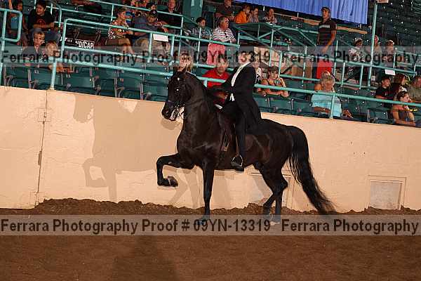 Proof 09yn-13319