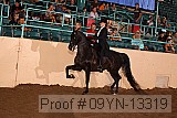 09yn-13319 proof