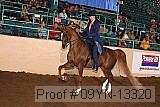 09yn-13320 proof