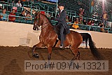 09yn-13321 proof