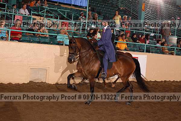 Proof 09yn-13322