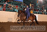 09yn-13322 proof