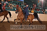 09yn-13323 proof