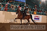 09yn-13324 proof