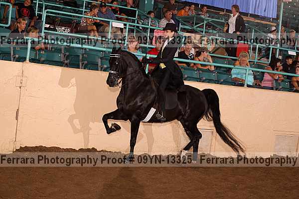 Proof 09yn-13325