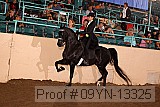 09yn-13325 proof