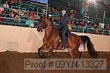 09yn-13327 proof
