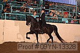 09yn-13328 proof