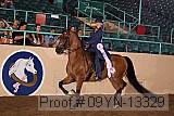 09yn-13329 proof