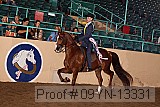 09yn-13331 proof