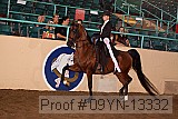 09yn-13332 proof