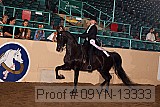 09yn-13333 proof
