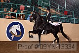 09yn-13334 proof