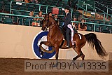 09yn-13335 proof