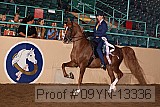 09yn-13336 proof