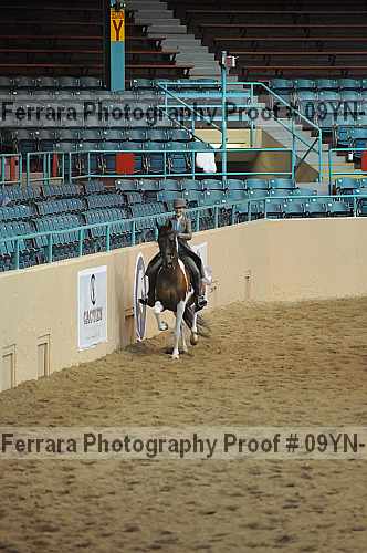Proof 09yn-13760