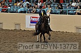 09yn-13778 proof