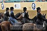 09yn-13779 proof