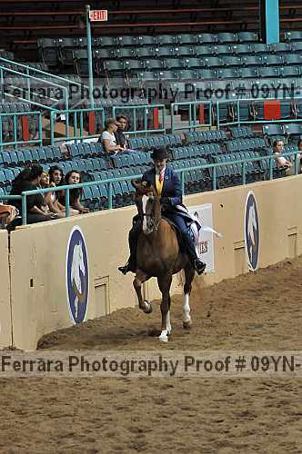 Proof 09yn-13785