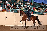 09yn-21478 proof