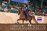 09yn-21480 proof