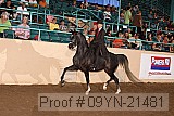 09yn-21481 proof