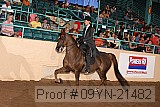 09yn-21482 proof