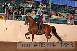 09yn-21483 proof