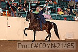 09yn-21485 proof