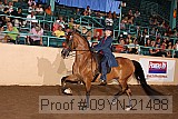09yn-21488 proof
