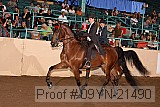 09yn-21490 proof