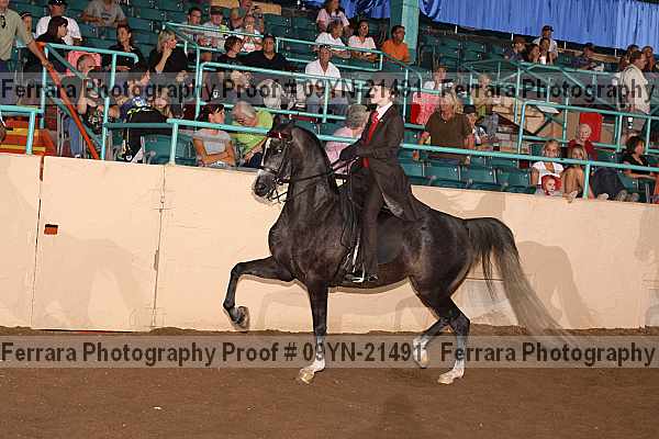 Proof 09yn-21491
