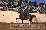 09yn-21491 proof